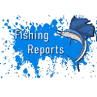 Open Waters Cape Hatteras Fishing Reports